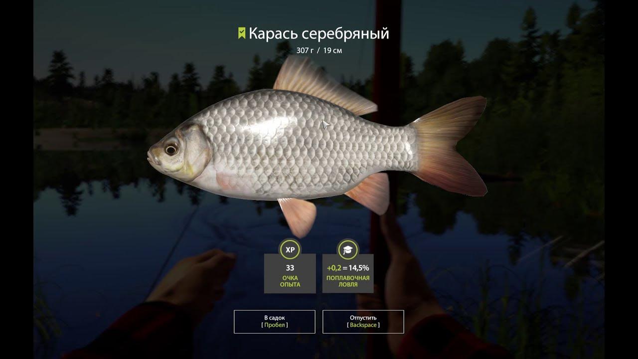 Рр4 троллинг