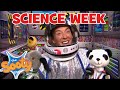 Science Week With Sooty 🧪👩‍🔬  -  @TheSootyShowOfficial  | #fullepisode | TV Show for Kids image