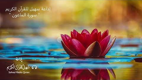 ( 107 ) تـلاوة مؤثرة سورة " الماعون " مكرره للحفظ  يتلوهـا القارئ | عبد الرحمن مسعد