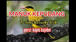 MANUK KEPUDANG-TARLING KARAOKE LIRIK PERSI KOPLO BAJIDOR||reyvans music