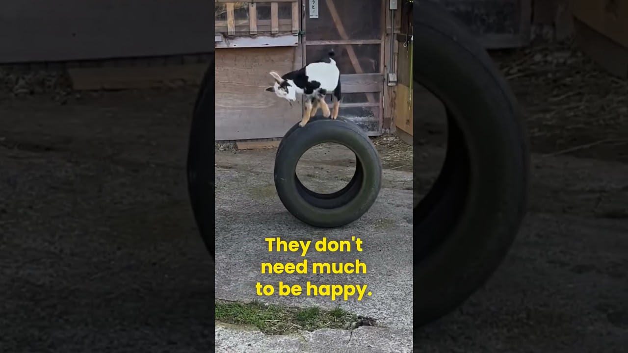 Run Don't when Karma will come.                