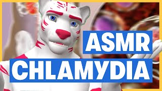 Chlamydia Asmr - Maxmerized With Asmr