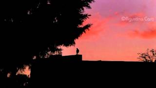Asher - Untitled 14