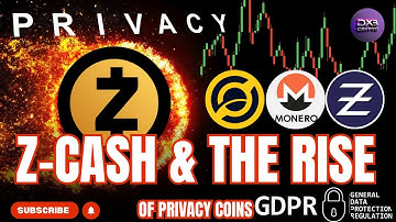 🚨 PRIVACY COINS EXPLAINED - THE NEXT ZCASH REVEALED - Don