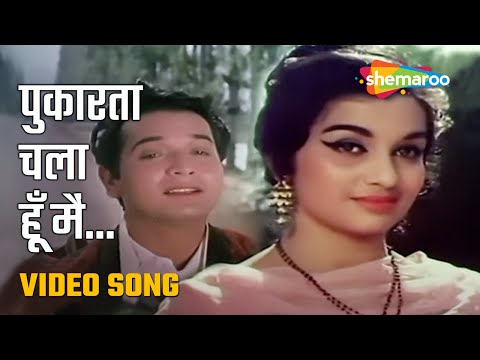 पुकारता चला हूँ मैं| Pukarta Chala Hoon Main (HD)| Mohd Rafi | Biswajit, Asha Parekh| Mere Sanam1965