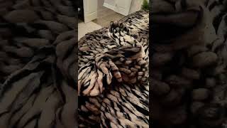 Creating a cozy bedroom that feels like a luxury retreat! 🤎🐅 The COMFRT Ash Tiger Dreamer Blanket