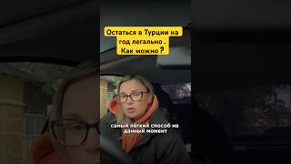 Остаться в Турции на год легально @KatyaKalinicheva #внжтурции #гражданствотурции