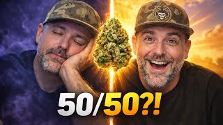 50/50 Balanced Hybrid Strain Reviews | Blueberry Gumbo, Dog Treats, Frosted Churros (Higher Beings).
