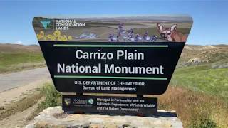 California Adventure. Carrizo Plain, San Andreas Fault, Soda Lake, wild flowers and wildlife