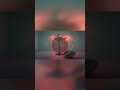 Radiohead - Fake Plastic Trees  #music #coversong #rockcover #radiohead #poppunkrock #rockmusic