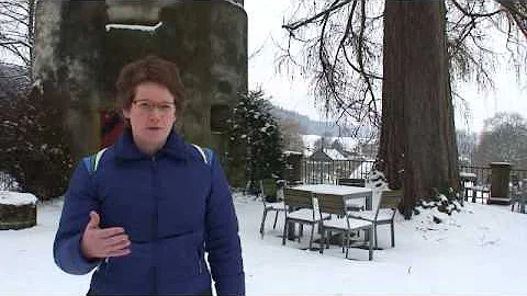 IASH - Michelle Bastian from Edinburgh University ...