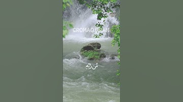 افمن شرح الله صدره للاسلام القارئ محمد اللحيدان تلاوة خاشعة #المصحف #الله #الرحمن #راحة_نفسية
