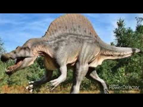 არგენტინაში ყველაზე დიდი დინოზავრის ჩონჩხი აღმოაჩინეს