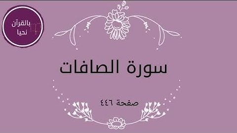 سورة الصافات صفحة ٤٤٦💫