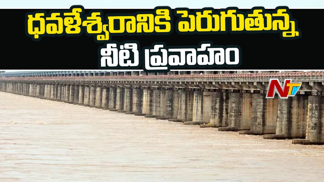 Water Level Rises in Godavari River | Due to Heavy Flood Water l Ntv ...