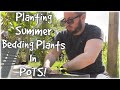 HOW TO Plant Summer Bedding Plants In POTS! Our Shropshire Garden 2021!