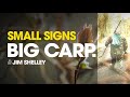 Small signs big carp jim shelley