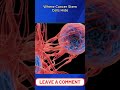 Where Cancer Stem Cells Hide”