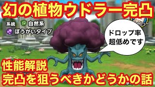 【ドラゴンクエストタクト】ウドラーを完凸出来たので性能解説・火力回復力検証！完凸狙うべき（イベントで出てきたら）かどうかの話！