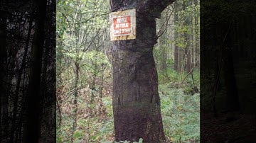 Harton Hollow Nature Reserve Wenlock Edge Craven Arms Shropshire