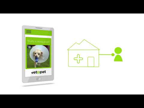 Vet2Pet Explainer