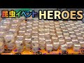 【昆虫イベント】HEROESに参戦したら貴重なクワガタ、カブトムシがたくさんいて眼福でした...