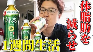 【検証】1週間特茶を飲み続けたらどれだけ痩せるのか？【実験】