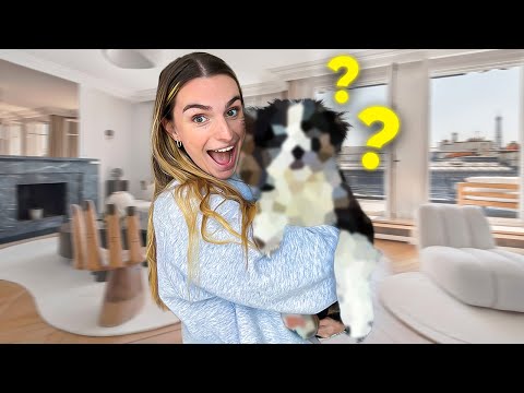 MA VIE A CHANGÉ (j’ai quelqu’un à vous présenter…)