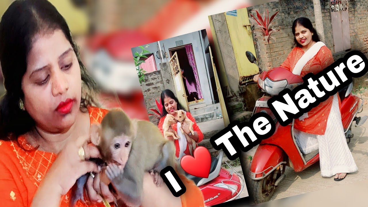 Watch I ❤ The Nature ❤ ❤ ❤ / PRASANNA BOLD on YouTube Watch I ❤ The Nature ❤ ❤ ❤ / PRASANNA BOLD on YouTube