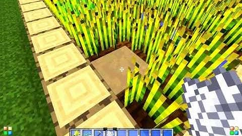 Xbox Xpadder showcase MC