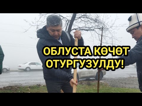 Video: Өрт өчүргүчтүн ичиндеги порошок деген эмне?