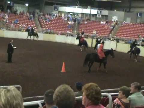 Open Pacing Championship 2nd Class White Pine TN S...