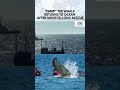 Stranded Whale Finally Free! Baltic Sea Rescue Has Happy Ending | ‘Timmy’ The Whale | Germany | N18G