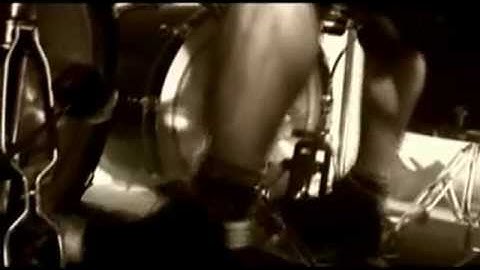 NILE - Papyrus Containing....