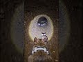 Inside a Wild Mouse Colony 🐭 Mounted POV  Tiny Camera Exploring Underground Nest