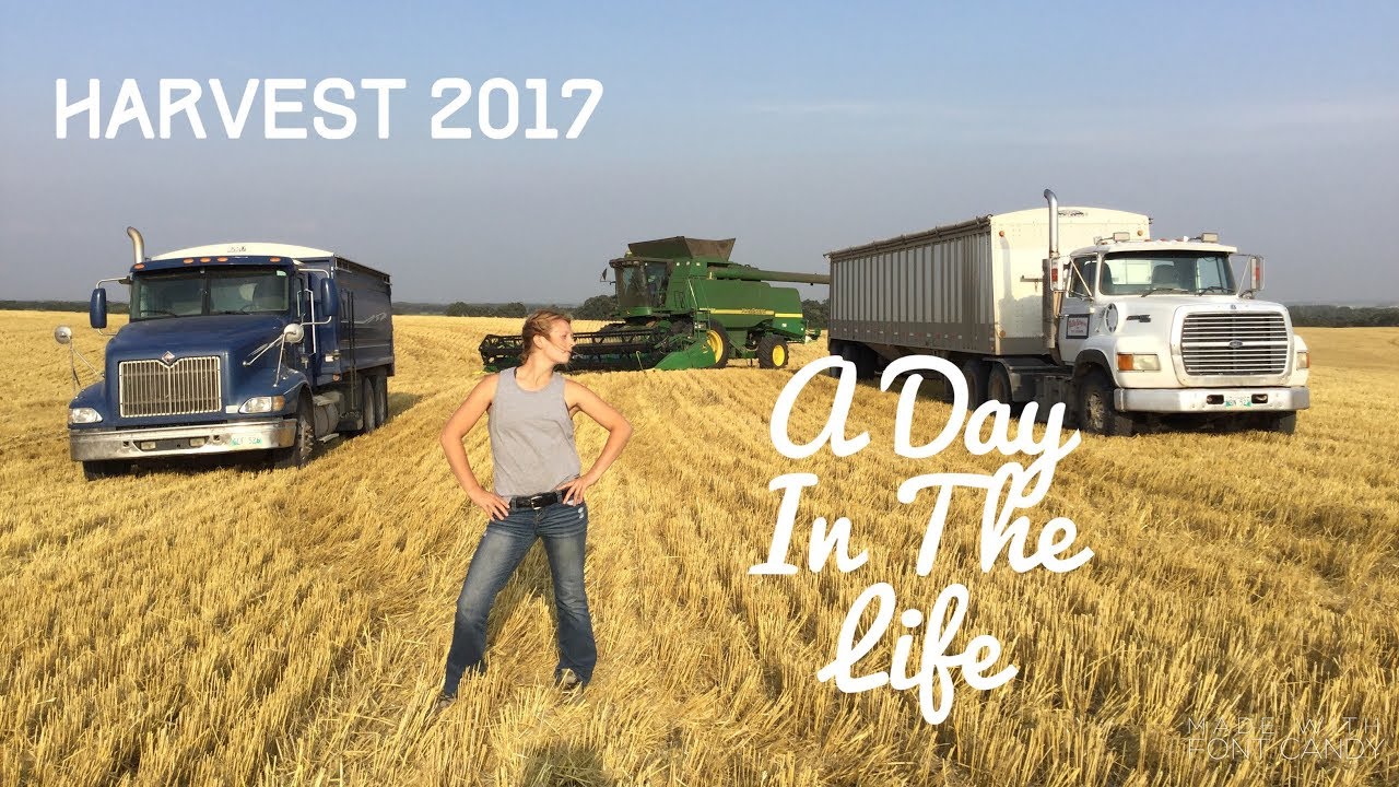 Harvest 2017. A Day In The Life Of A Farm Girl. - YouTube