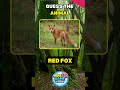 Guess the Animal INSTANTLY or You're Done 🐾Easy | 3 Second Challenge #shorts #quiz