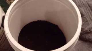 How to store coffee grounds to use later.