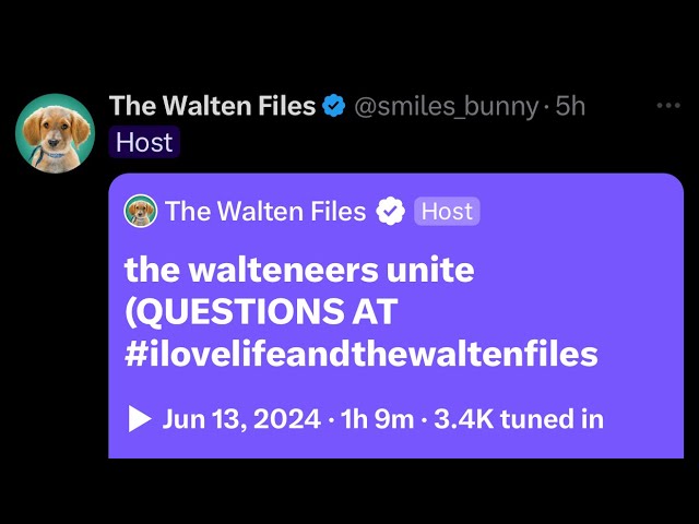 (READ DESCRIPTION) “the walteneers unite” The Walten Files twitter space 06/13/2024 reupload