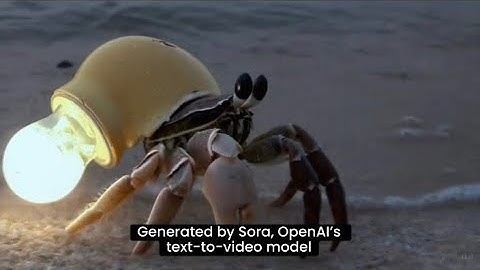 This video was generated by our text-to-video model, Sora. 