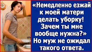 картинка: Немедленно езжай к моей матери делать уборку. Зачем ты мне вообще нужна. Жена решила ответить.