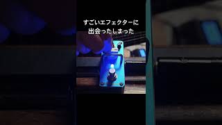 すごい個性的すぎるエフェクターに出会ってしまった