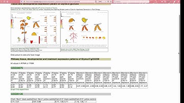 SoyBase Expression Explorer