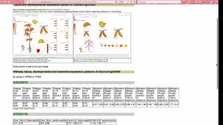 Soybase Expression Explorer