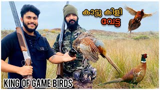 Shot wild birds, lotus bird, PHEASANT HUNTING, BEST HUNTING, GAME BIRD HUNTING screenshot 4