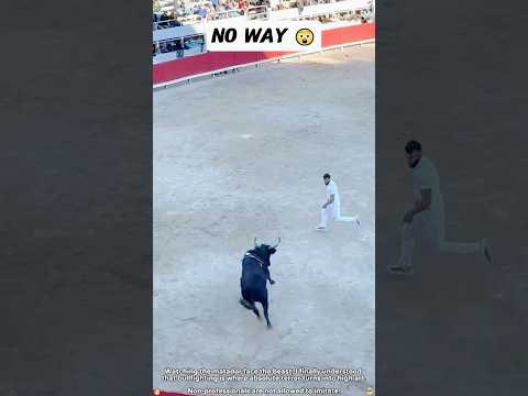 A spectacular bullfighting performance 🐂 #Bullfighting#SpanishBullfight#Matador #bullriding#