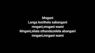 Yanga Chief   what if Mngani LYRICS
