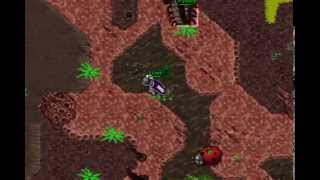 Tibia Crawler&Waspoid Speed Hunt