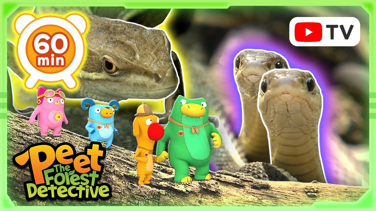 The Mystery of the Floating Mantis! 🌿🐍  | Nature Stories For Kids | Peet The Forest Detective