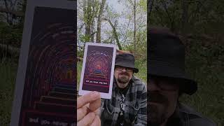 Daily Insights #oracle #tarot #whatscomingupinlovelife #spirituality #art